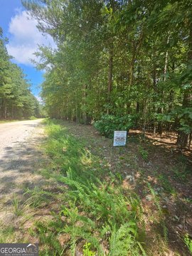 LAND - Carlton, GA