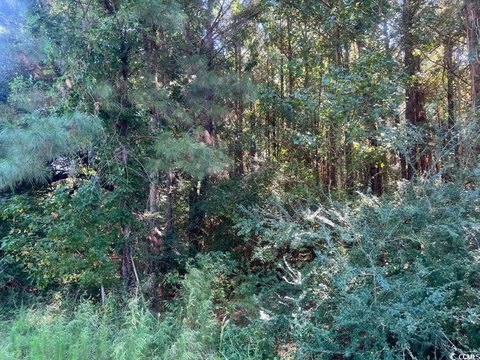 Conway Land For Sale