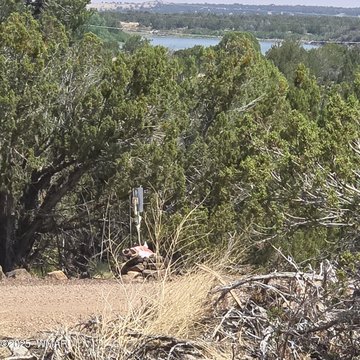 Corner Lot with Lake Privileges