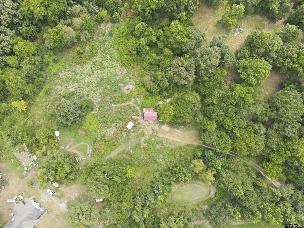 Picture 4