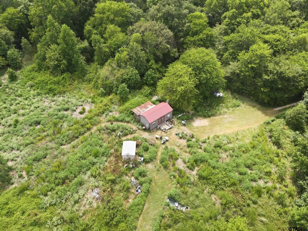 Picture 2