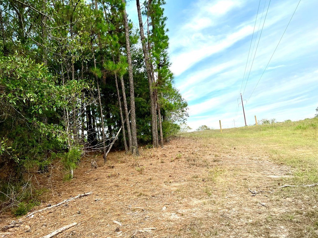 Picture 7