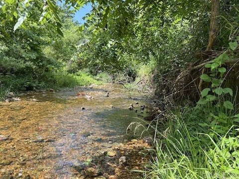 48.57 Acres with Creek Frontage