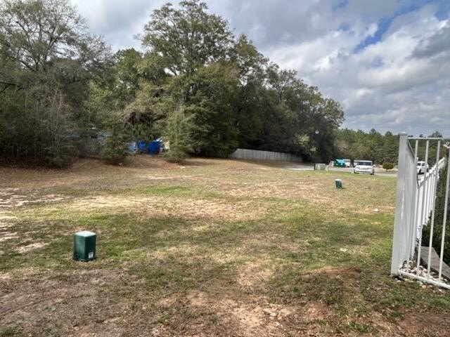Picture 25