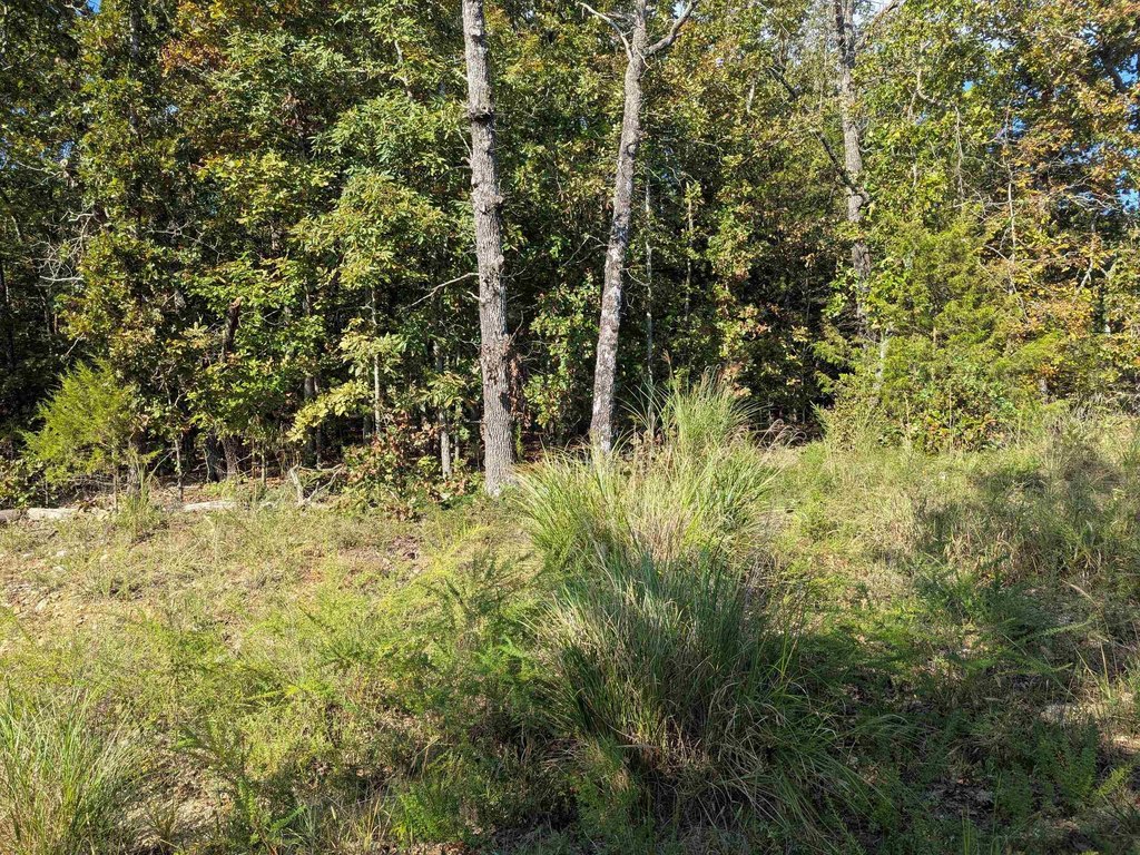Picture 9