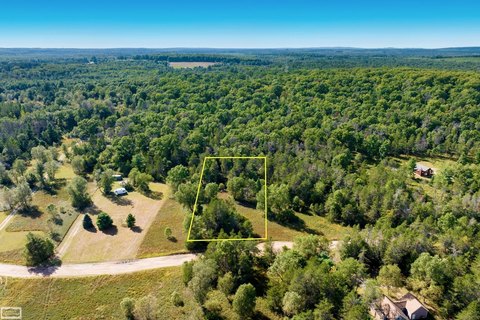 VACANT LAND, Roscommon, MI