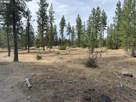 80 Acres Near Columbia River