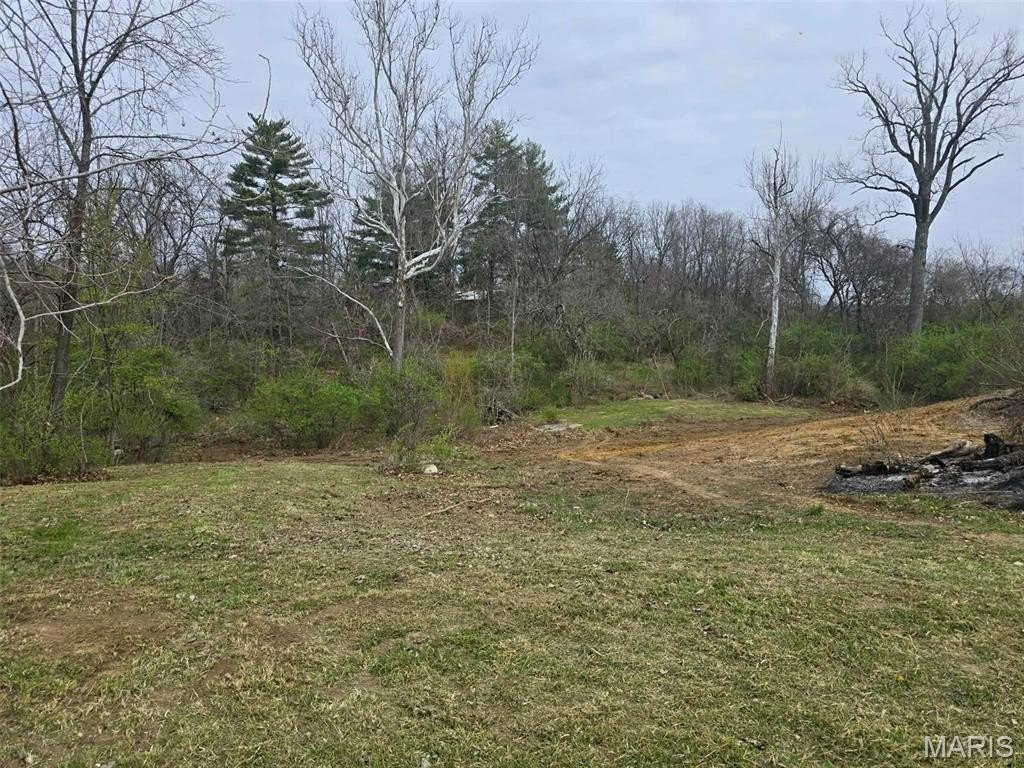 Picture 13