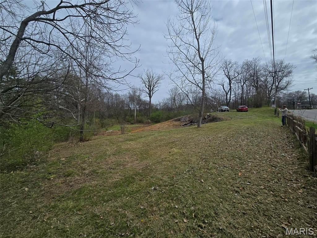 Picture 8