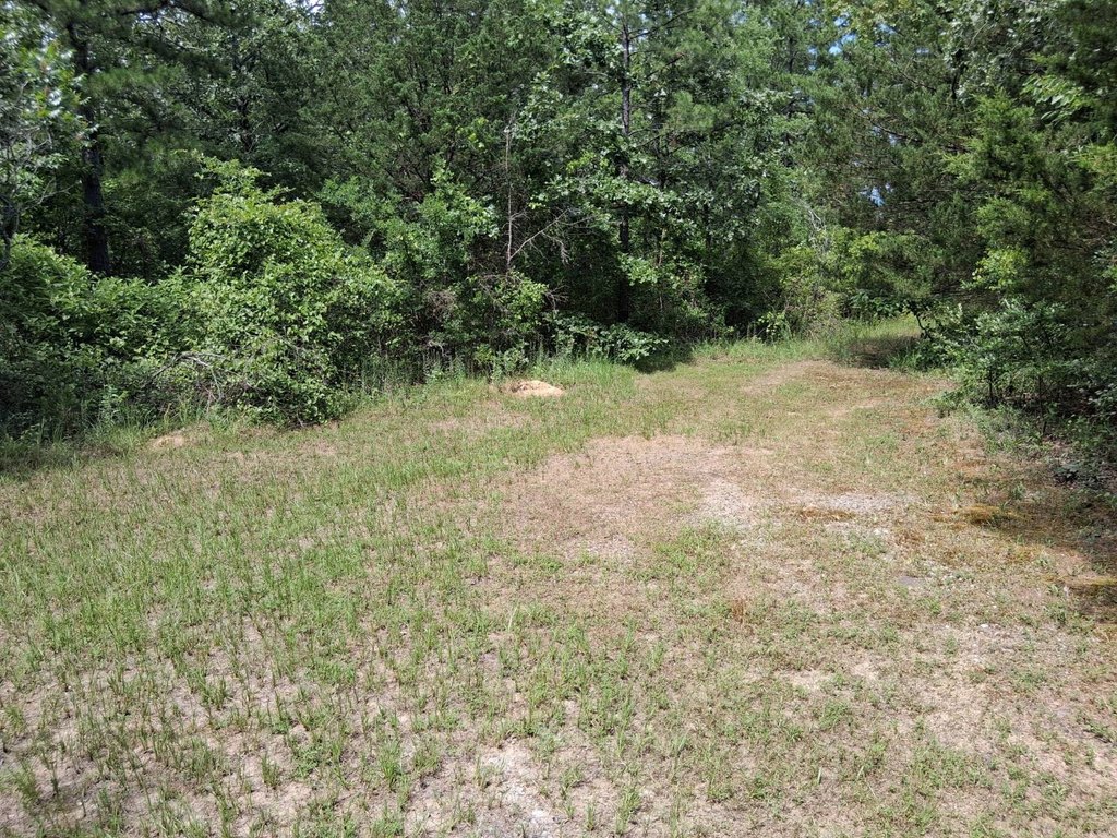 Picture 11