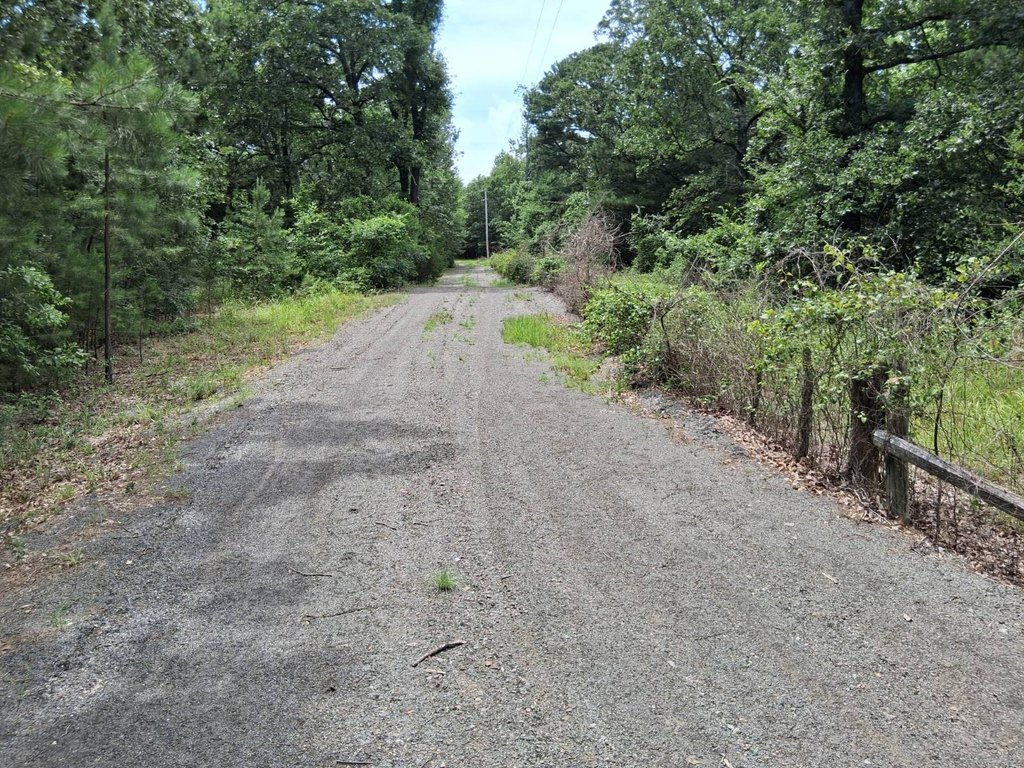 Picture 22