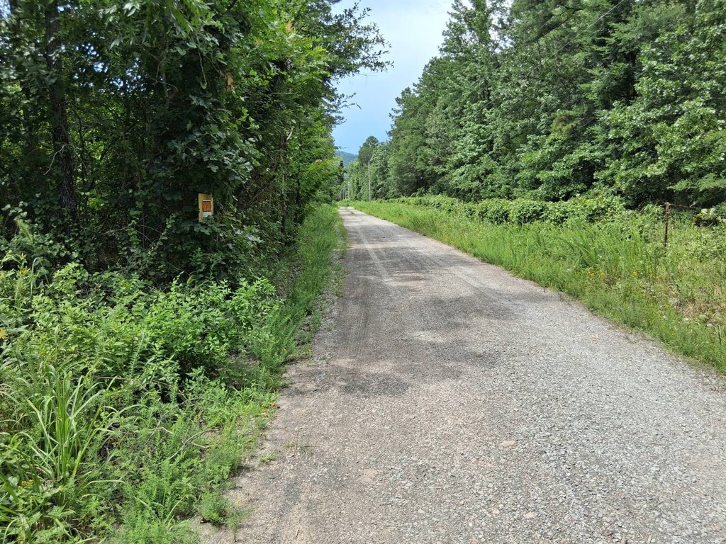 Picture 19