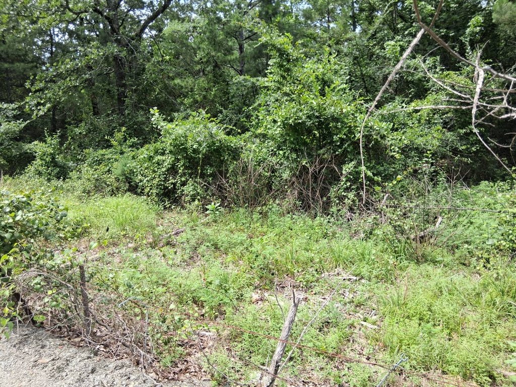 Picture 21
