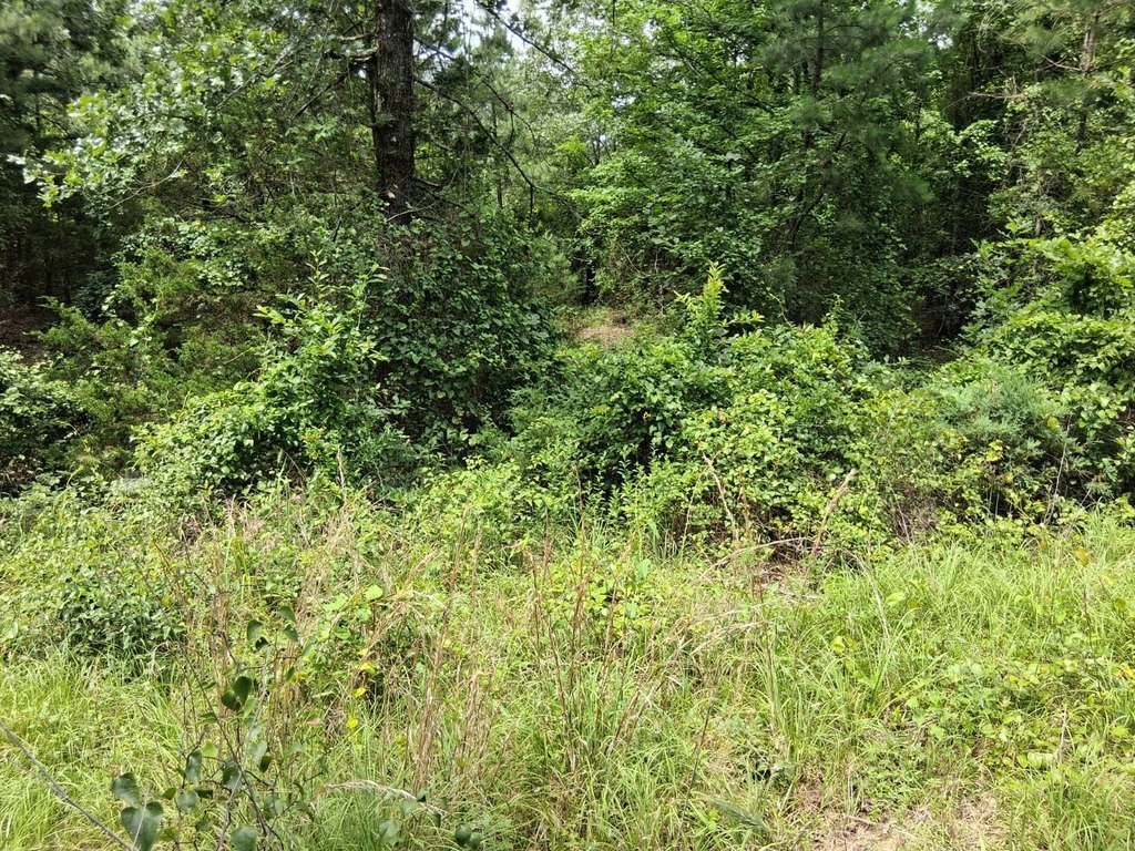 Picture 20