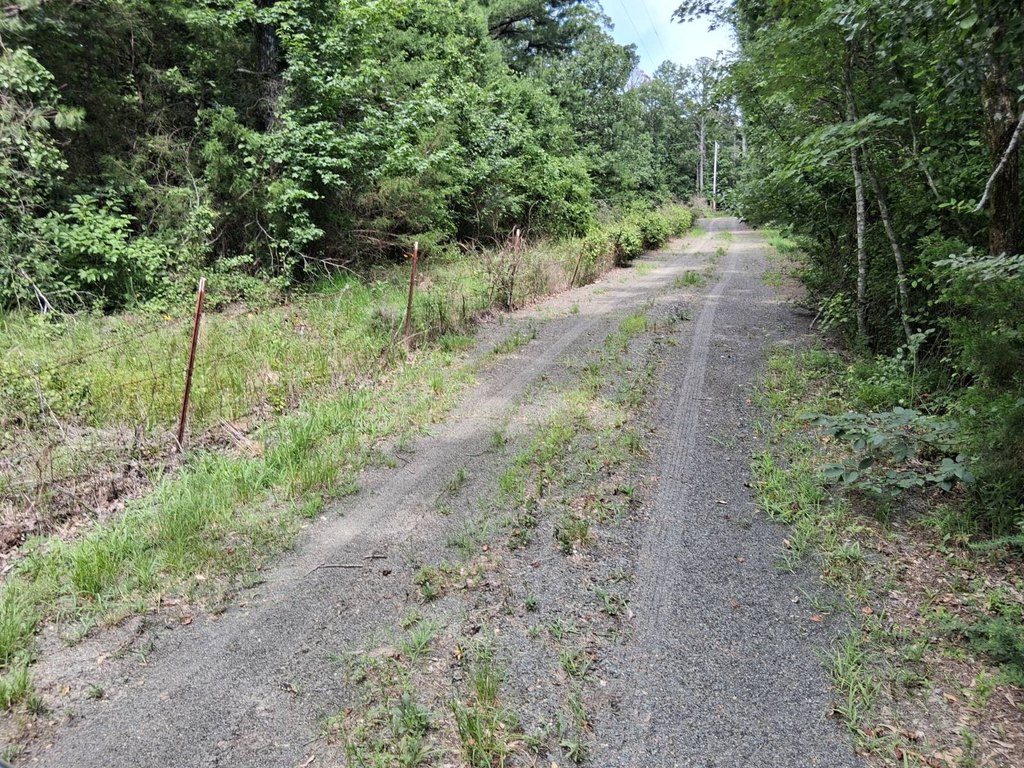 Picture 16