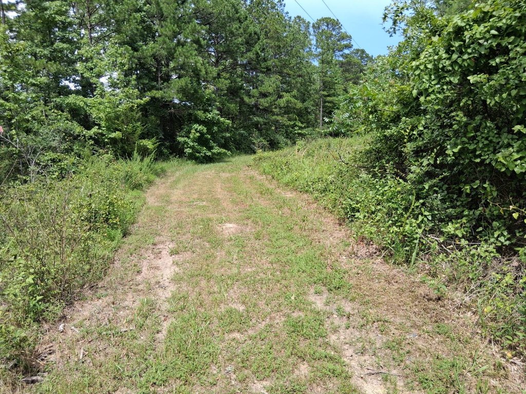 Picture 12