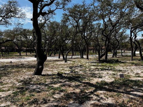 Residential Lot in Royal Oaks