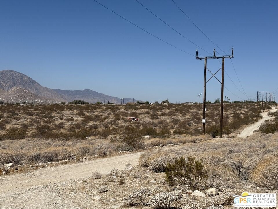 Picture 8
