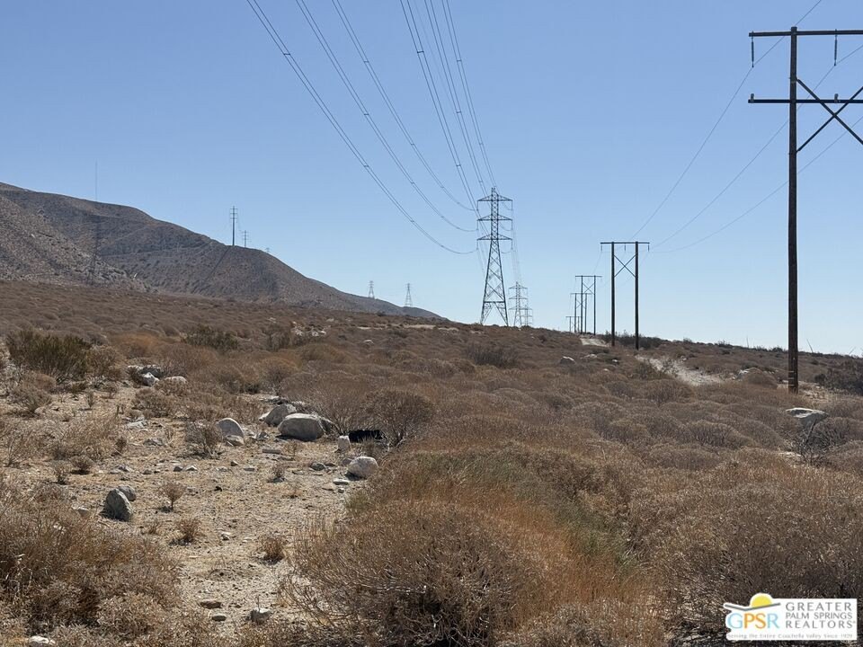 Picture 7
