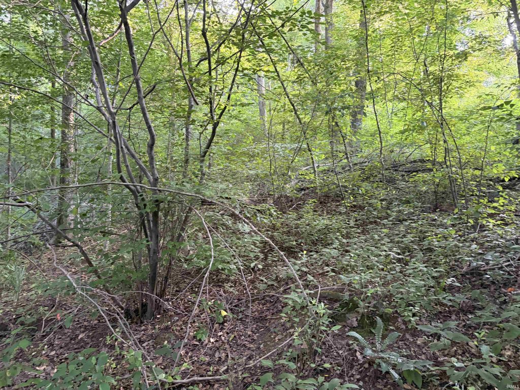 Picture 11