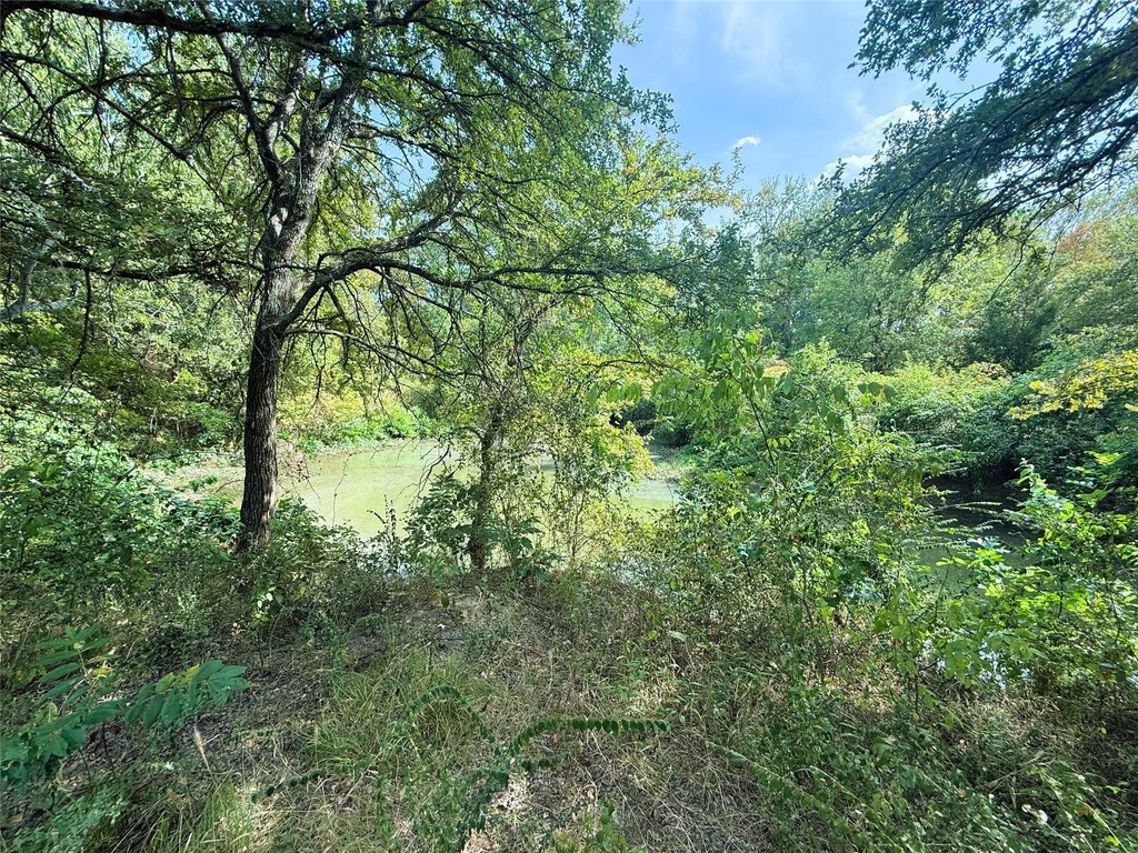 Picture 10
