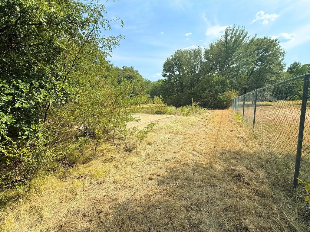 Picture 8