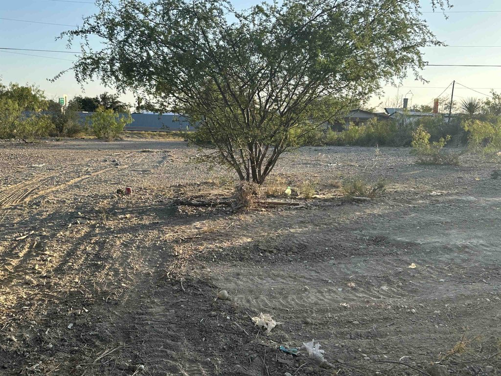 Picture 12