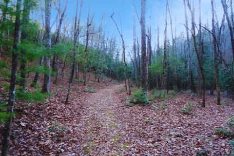 Hayesville Vacant Lot in Community