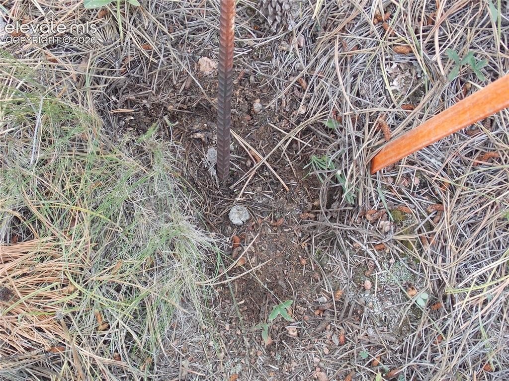 Picture 2