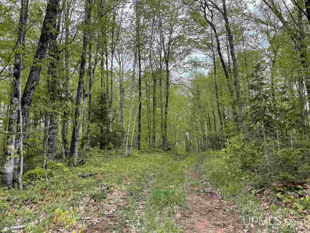 Picture 21