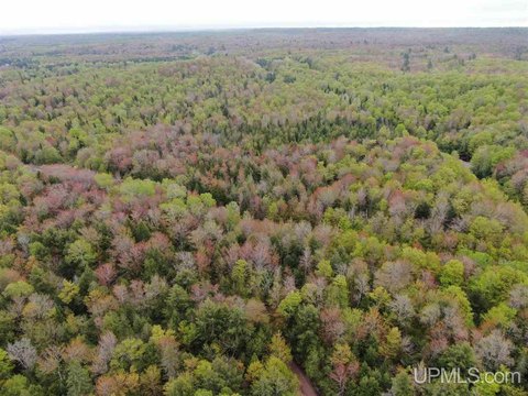 93 Acres on Anna River