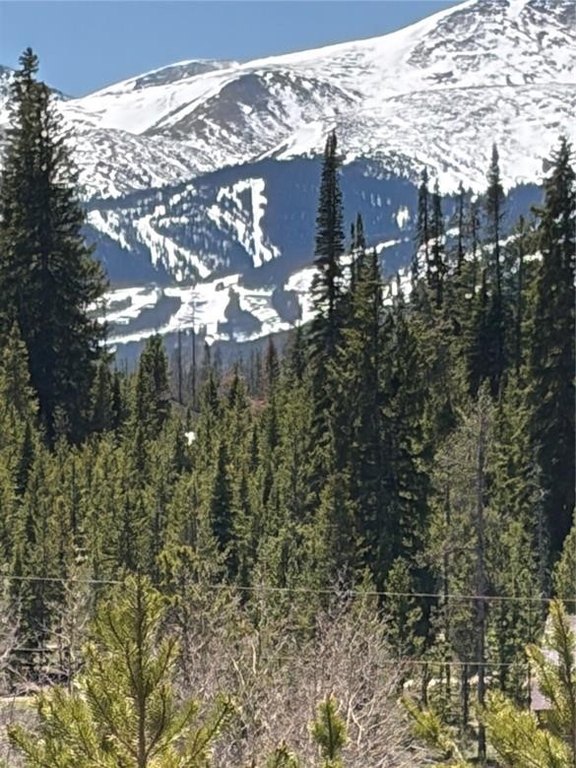 Picture 20