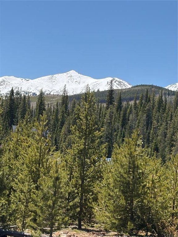 Picture 25