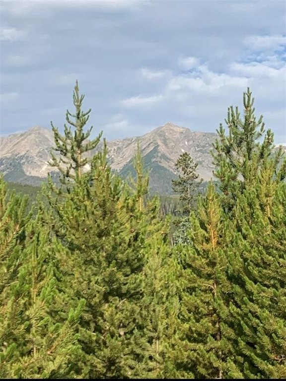 Picture 26
