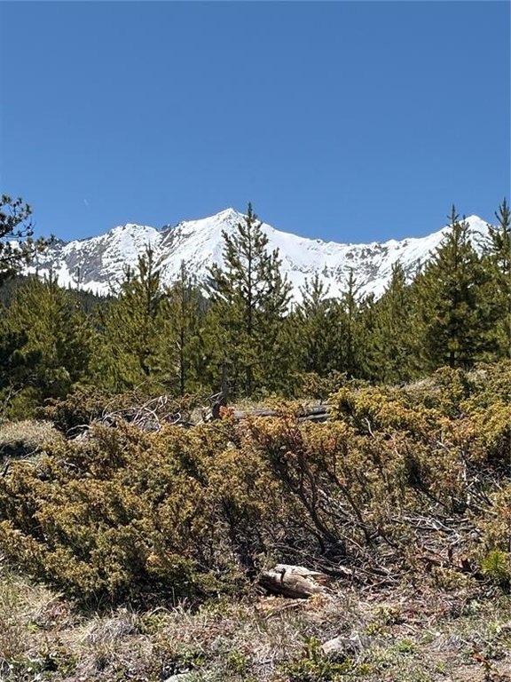 Picture 24