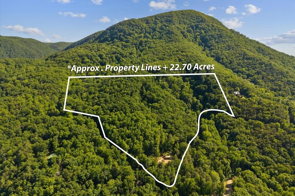 Undeveloped Mountain Land in Georgia