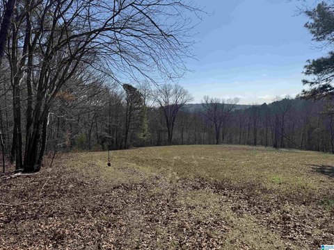 LAND - FT PAYNE, AL