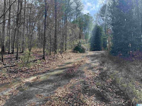 Unrestricted Development Land