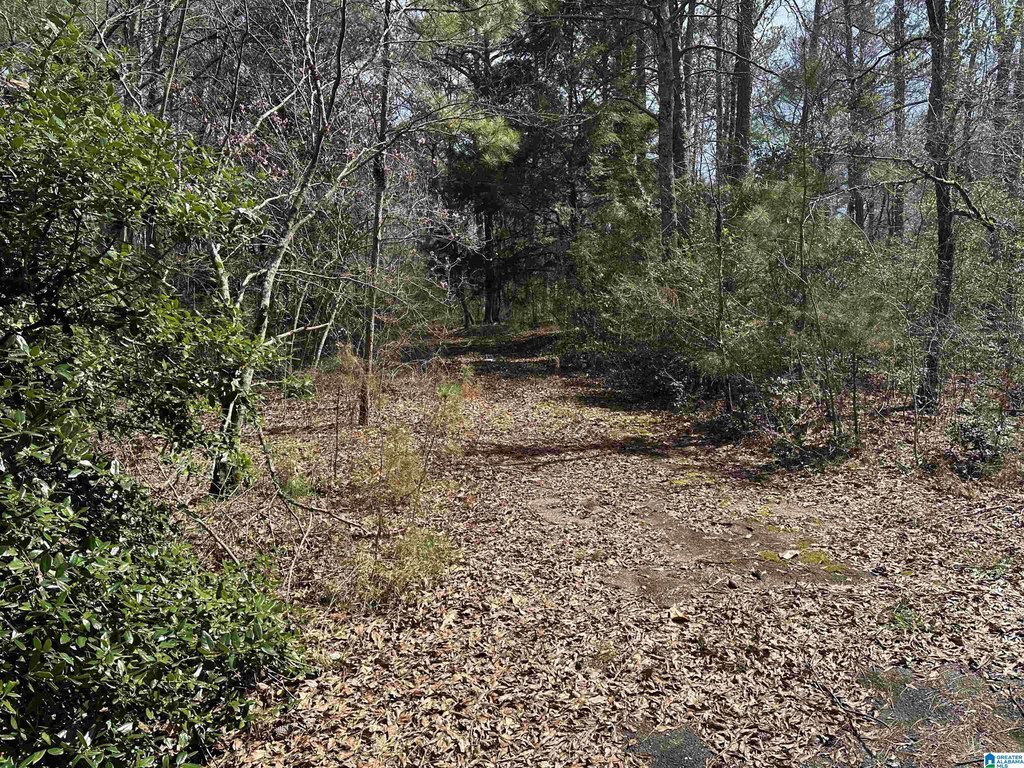 Picture 9