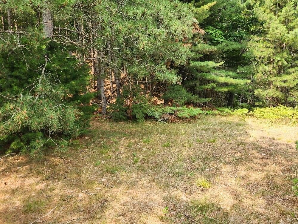 Picture 14