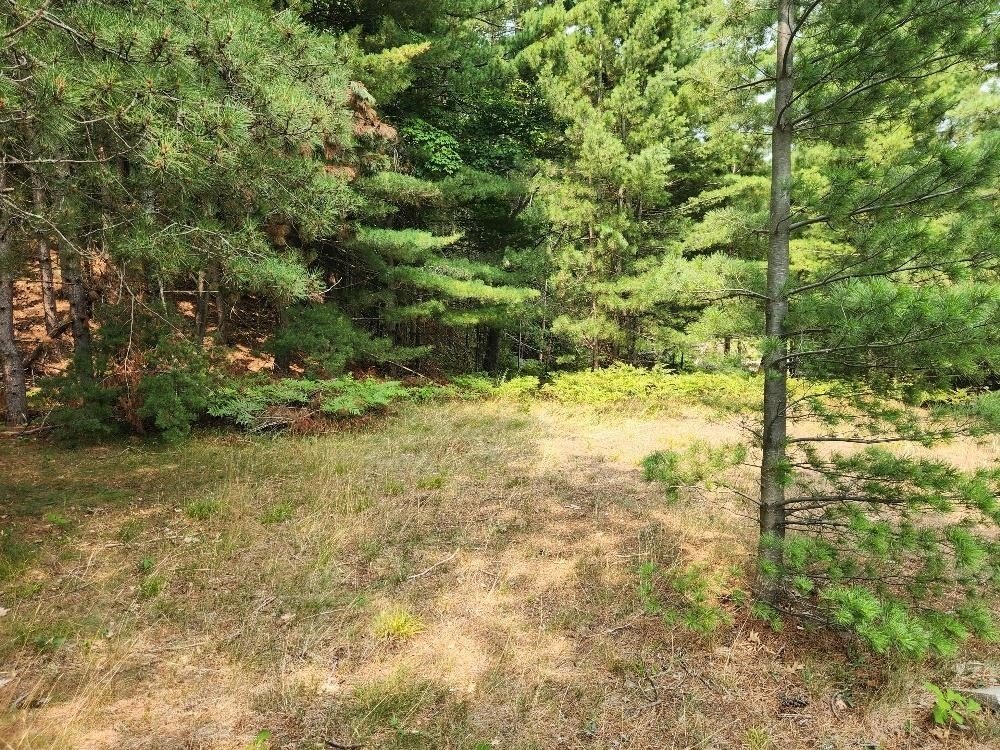 Picture 20