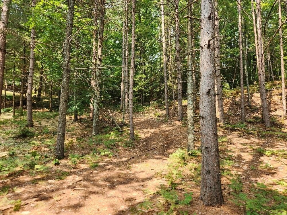 Picture 17