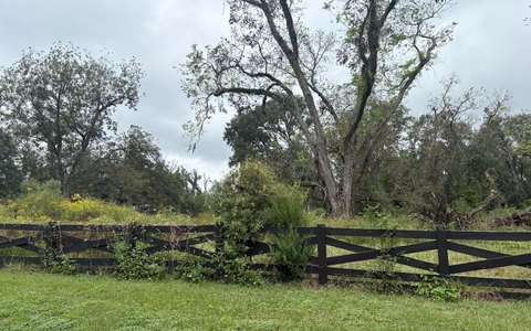 Vacant Land, Live Oak, FL