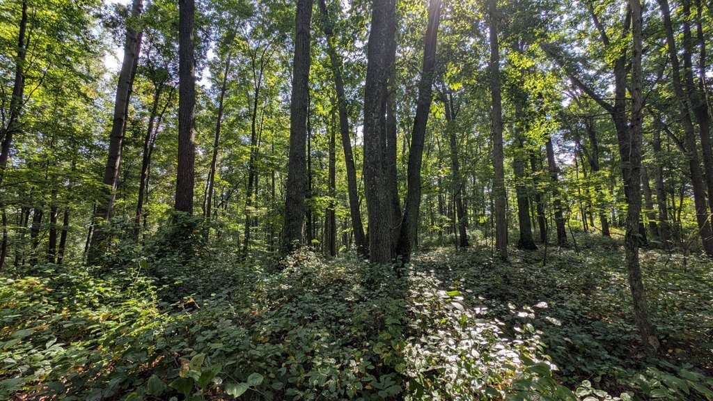 Picture 19