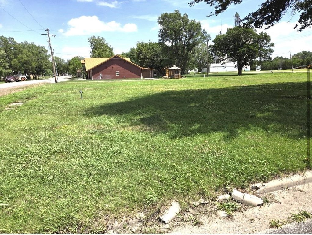 Picture 9