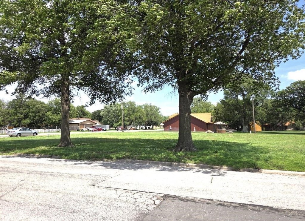 Picture 5
