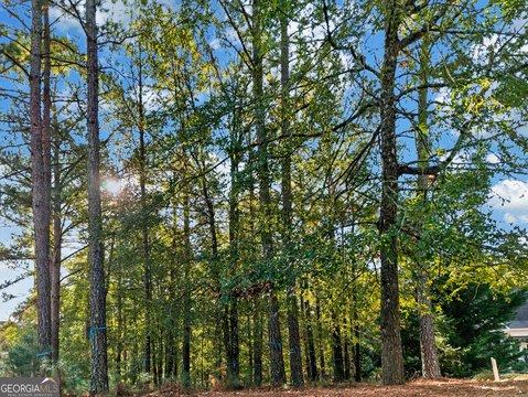 Land, Greensboro, GA