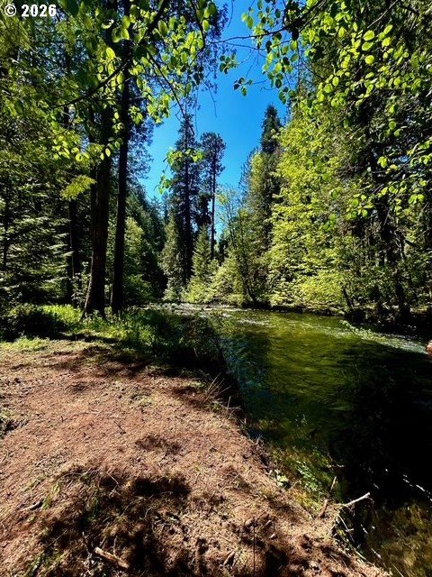 McKenzie Bridge Waterfront Land