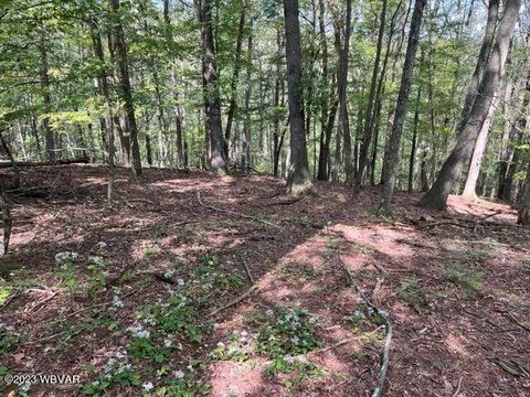 LAND - Williamsport, PA