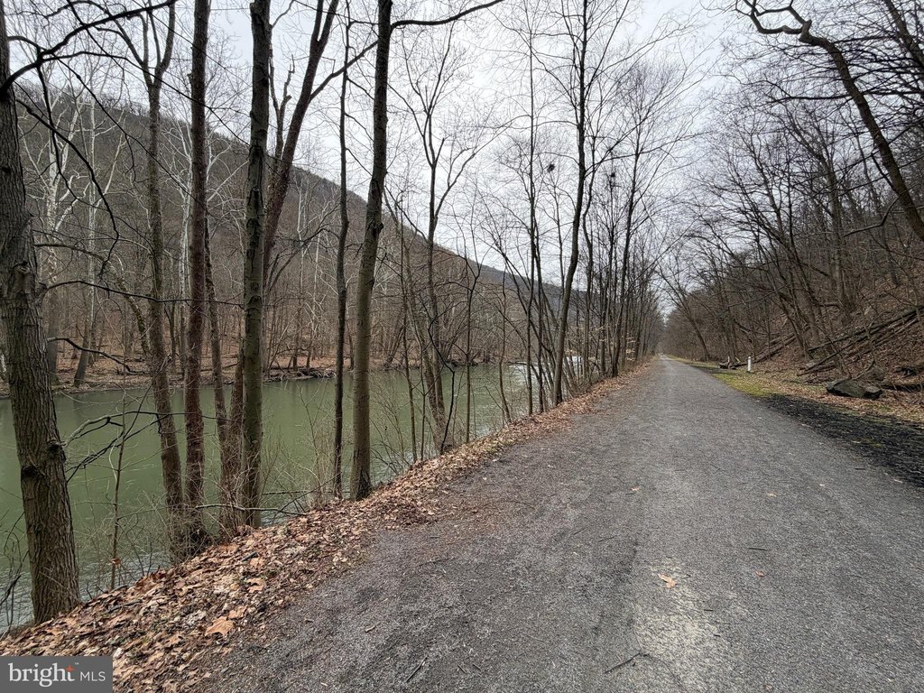 Picture 13